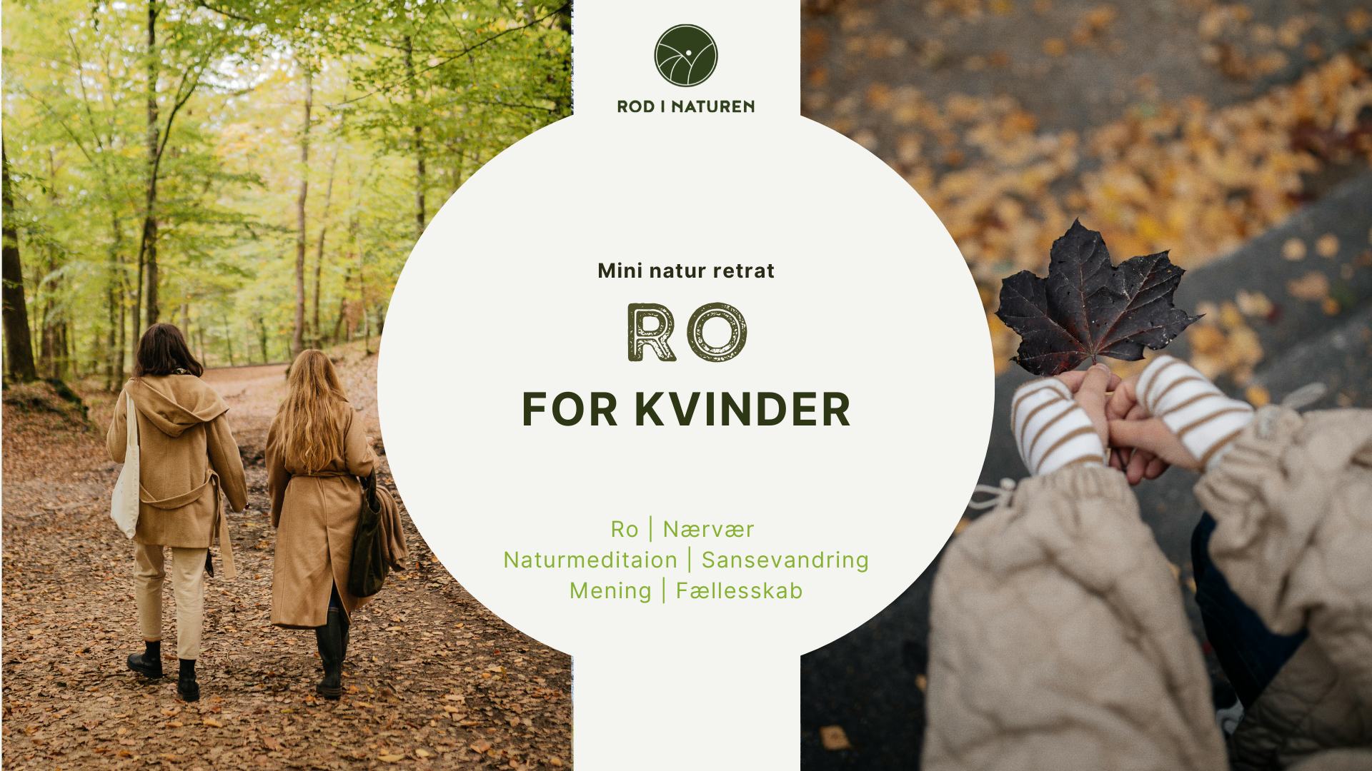 Kvinder går i naturen ved et mini-retræte for ro, nærvær og naturmeditation.